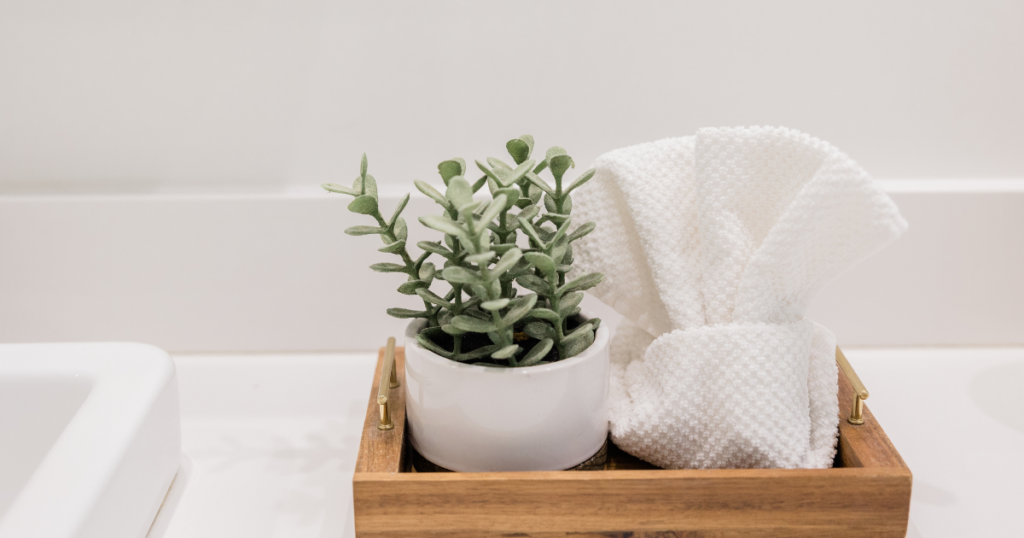 [bodycare] 木製トレイに観葉植物とタオル（人物無）